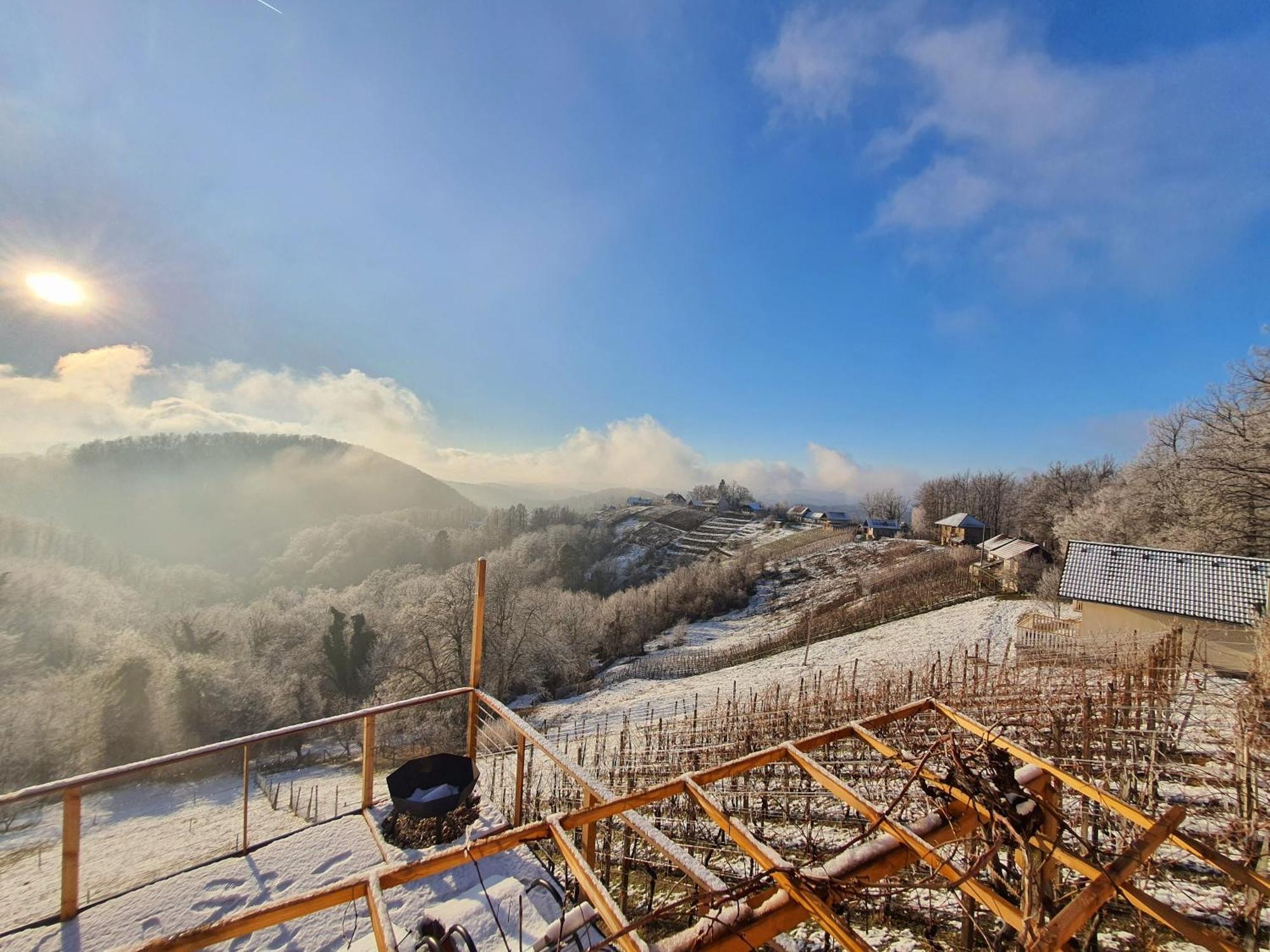 Vineyard Cottage Soncni Gric Trebnje Exterior foto